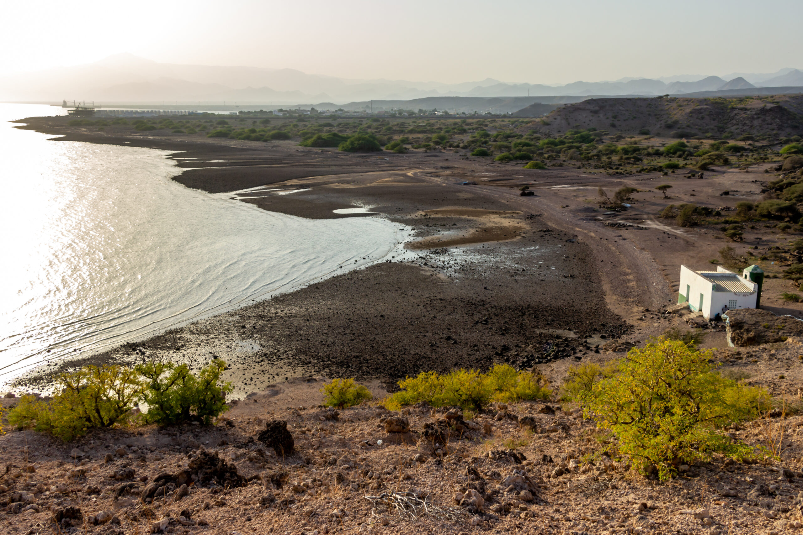 Tales of the Djibouti By Camille Massida